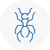 Ant Removals In Stone