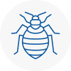 Bed Bug Extermination In Stone