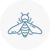 Bee Nest Removal Stone