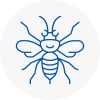 Stone Hornet Nest Removals