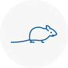 Mice Exterminators In Stone