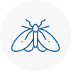 Moth Control Specialists In Stone