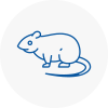 Rat Control Stone