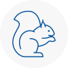 Stone Rodent Removals